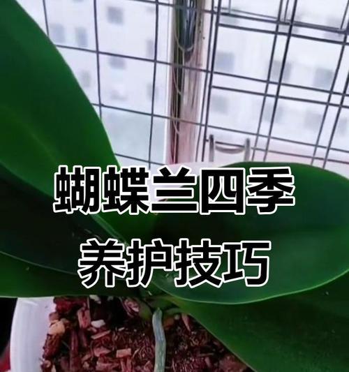 文章详情图片