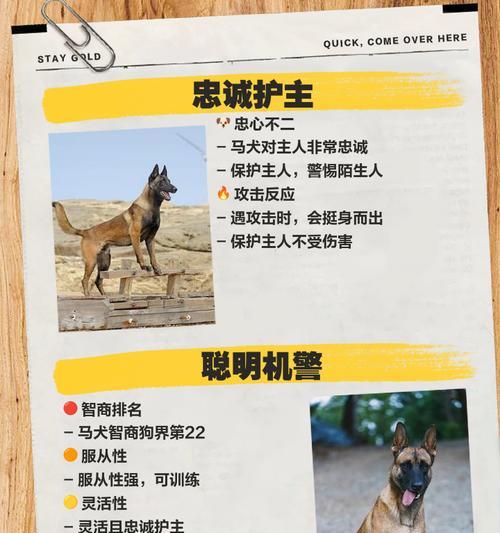 以马犬的咆哮声：神秘力量的体现