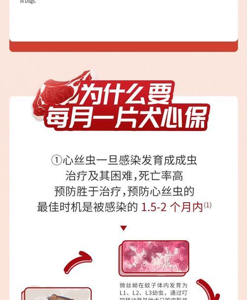 文章详情图片
