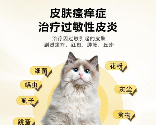 猫咪常见疾病及防治措施指南
