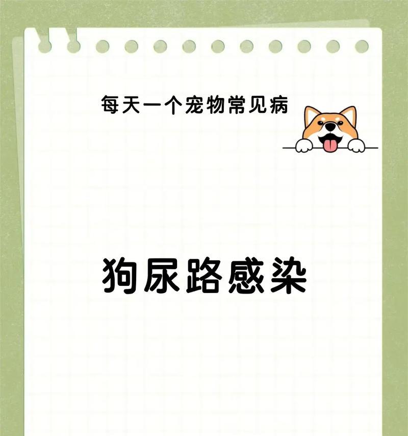 文章详情图片