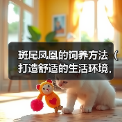 斑尾凤凰饲养方法全解析：打造健康舒适的生活环境