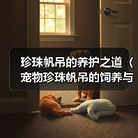 珍珠帆吊的养护之道(宠物珍珠帆吊的饲养与细节)(图2) 珍珠帆吊的养护之道(宠物珍珠帆吊的饲养与细节)(图2)