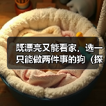 既漂亮又能看家,选一只能做两件事的狗(探讨狗的美观与实用性,让你找到理想的宠物)(图3) 既漂亮又能看家,选一只能做两件事的狗(探讨狗的美观与实用性,让你找到理想的宠物)(图3)