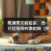 既漂亮又能看家,选一只能做两件事的狗(探讨狗的美观与实用性,让你找到理想的宠物)(图4) 既漂亮又能看家,选一只能做两件事的狗(探讨狗的美观与实用性,让你找到理想的宠物)(图4)