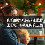 狗狗的外八内八走路原因分析(探究狗狗走路姿势的背后)(图4) 狗狗的外八内八走路原因分析(探究狗狗走路姿势的背后)(图4)