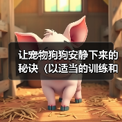 让宠物狗狗安静下来的秘诀(以适当的训练和生活习惯改变让狗狗更加平静)(图3) 让宠物狗狗安静下来的秘诀(以适当的训练和生活习惯改变让狗狗更加平静)(图3)
