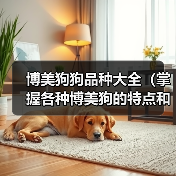 博美狗狗品种大全（掌握各种博美狗的特点和习性，选一只最适合你的小伙伴）（图3）