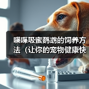 喔喔吸蜜鹦鹉养护指南：健康快乐的15项核心要点
