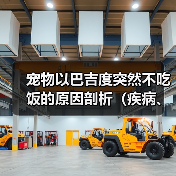 宠物以巴吉度突然不吃饭的原因剖析(疾病、厌食、环境变化都可能导致宠物不吃饭)(图2) 宠物以巴吉度突然不吃饭的原因剖析(疾病、厌食、环境变化都可能导致宠物不吃饭)(图2)