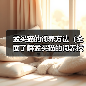孟买猫的饲养方法（全面了解孟买猫的饲养技巧，打造幸福宠物生活）（图4）