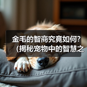 金毛的智商究竟如何?(揭秘宠物中的智慧之犬)(图2) 金毛的智商究竟如何?(揭秘宠物中的智慧之犬)(图2)