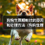 狗狗生理期呕吐的原因和处理方法(狗狗生理期为什么会呕吐?如何帮助狗狗缓解?)(图1) 狗狗生理期呕吐的原因和处理方法(狗狗生理期为什么会呕吐?如何帮助狗狗缓解?)(图1)