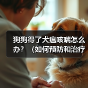 狗狗得了犬瘟咳喘怎么办?(如何预防和治疗犬瘟咳喘)(图3) 狗狗得了犬瘟咳喘怎么办?(如何预防和治疗犬瘟咳喘)(图3)