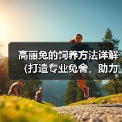 科学饲养关键：高丽兔健康生长技巧