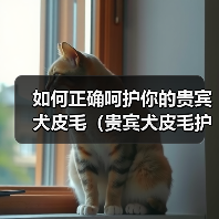 如何正确呵护你的贵宾犬皮毛（贵宾犬皮毛护理指南，让你的宠物更健康美丽）（图4）