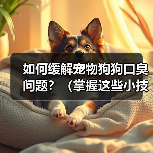 如何缓解宠物狗狗口臭问题?(掌握这些小技巧,让狗狗口气清新舒适)(图4) 如何缓解宠物狗狗口臭问题?(掌握这些小技巧,让狗狗口气清新舒适)(图4)