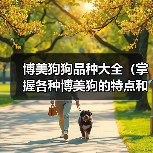 博美狗狗品种大全（掌握各种博美狗的特点和习性，选一只最适合你的小伙伴）（图1）