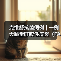 克维舒抗菌病例 | 一例犬跳蚤叮咬性皮炎(FAD)的病例分析(图4) 克维舒抗菌病例 | 一例犬跳蚤叮咬性皮炎(FAD)的病例分析(图4)