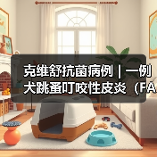 克维舒抗菌病例 | 一例犬跳蚤叮咬性皮炎(FAD)的病例分析(图2) 克维舒抗菌病例 | 一例犬跳蚤叮咬性皮炎(FAD)的病例分析(图2)