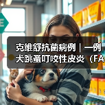 克维舒抗菌病例 | 一例犬跳蚤叮咬性皮炎(FAD)的病例分析(图3) 克维舒抗菌病例 | 一例犬跳蚤叮咬性皮炎(FAD)的病例分析(图3)