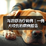 海泊舒治疗病例 | 一例犬咬伤的病例报告(图3) 海泊舒治疗病例 | 一例犬咬伤的病例报告(图3)