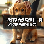 海泊舒治疗病例 | 一例犬咬伤的病例报告(图4) 海泊舒治疗病例 | 一例犬咬伤的病例报告(图4)