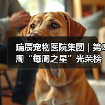 瑞辰宠物医院集团 | 第3周“每周之星”光荣榜（图4）