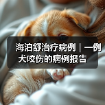 海泊舒治疗病例 | 一例犬咬伤的病例报告(图2) 海泊舒治疗病例 | 一例犬咬伤的病例报告(图2)