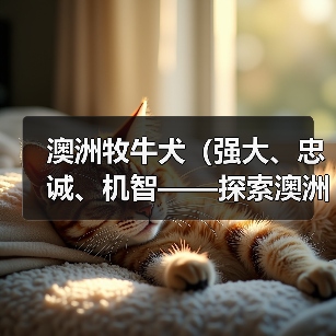 澳洲牧牛犬(强大、忠诚、机智——探索澳洲牧牛犬的护卫才能)(图3) 澳洲牧牛犬(强大、忠诚、机智——探索澳洲牧牛犬的护卫才能)(图3)