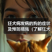 狂犬病发病的狗的症状及预防措施(了解狂犬病,保护你的宠物)(图3) 狂犬病发病的狗的症状及预防措施(了解狂犬病,保护你的宠物)(图3)