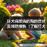 狂犬病发病的狗的症状及预防措施(了解狂犬病,保护你的宠物)(图4) 狂犬病发病的狗的症状及预防措施(了解狂犬病,保护你的宠物)(图4)