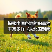 中国各地犬种文化特色与地域特征
