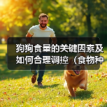 狗狗食量的关键因素及如何合理调控(食物种类和狗狗生长阶段是影响食量的主要因素)(图3) 狗狗食量的关键因素及如何合理调控(食物种类和狗狗生长阶段是影响食量的主要因素)(图3)