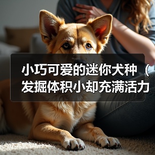 小巧可爱的迷你犬种(发掘体积小却充满活力的狗狗品种)(图2) 小巧可爱的迷你犬种(发掘体积小却充满活力的狗狗品种)(图2)