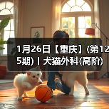 1月26日【重庆】(第125期)丨犬猫外科(高阶)班!含SUB(人人可实操)、乳糜胸等技术!(图3) 1月26日【重庆】(第125期)丨犬猫外科(高阶)班!含SUB(人人可实操)、乳糜胸等技术!(图3)