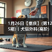 高阶宠物外科课程 柯肖教授SUB技术实操训练