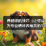 养蟋蟀的技巧(让你成为专业蟋蟀养殖员的15个秘诀)(图3) 养蟋蟀的技巧(让你成为专业蟋蟀养殖员的15个秘诀)(图3)