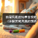 斑尾凤凰饲养技巧全解析，健康快乐养鸟指南