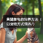 黄腿象龟的饲养方法(以宠物方式饲养/)(图2) 黄腿象龟的饲养方法(以宠物方式饲养/)(图2)