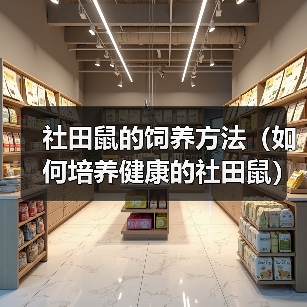 社田鼠的饲养方法(如何培养健康的社田鼠)(图3) 社田鼠的饲养方法(如何培养健康的社田鼠)(图3)
