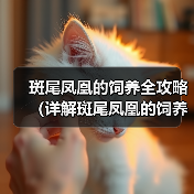 斑尾凤凰的饲养全攻略(详解斑尾凤凰的饲养技巧和注意事项)(图3) 斑尾凤凰的饲养全攻略(详解斑尾凤凰的饲养技巧和注意事项)(图3)