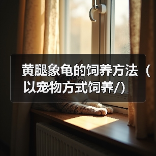 黄腿象龟的饲养方法(以宠物方式饲养/)(图4) 黄腿象龟的饲养方法(以宠物方式饲养/)(图4)