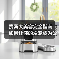 贵宾犬美容全攻略：打造健康亮丽的公主形象