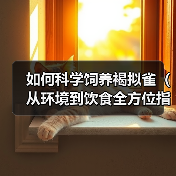褐拟雀科学饲养全攻略：环境饮食健康要点解析
