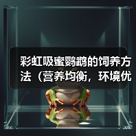 彩虹吸蜜鹦鹉的饲养方法（营养均衡，环境优美，关爱宠物）（图1）