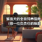 猴面犬饲养指南：全方位护理与健康饲养技巧