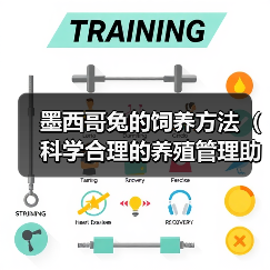 墨西哥兔的饲养方法(科学合理的养殖管理助力兔肉产业的发展)(图4) 墨西哥兔的饲养方法(科学合理的养殖管理助力兔肉产业的发展)(图4)