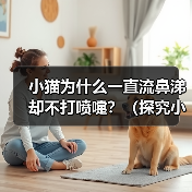 小猫为什么一直流鼻涕却不打喷嚏？（探究小猫流鼻涕的原因和处理方法）（图1）