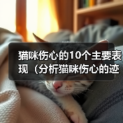猫咪伤心的10个主要表现（分析猫咪伤心的迹象及如何帮助它们恢复正常）（图4）